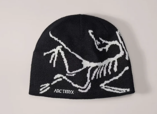 ARC Beanie