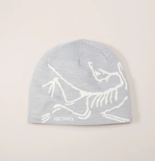 ARC Beanie